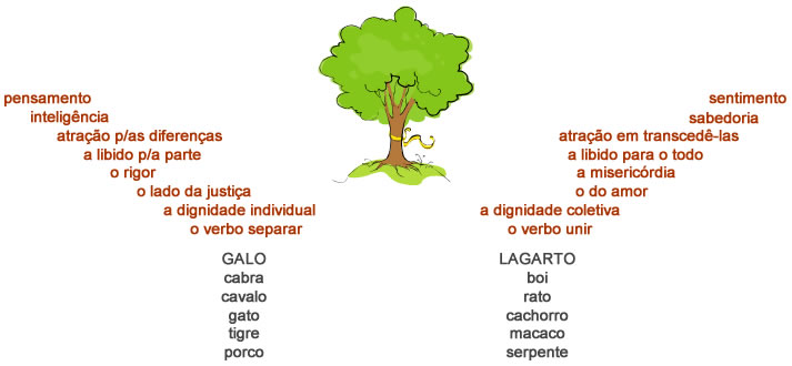 Árvore da vida - Astrologia Sensorial