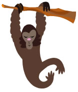 Macacos - Astrologia Sensorial